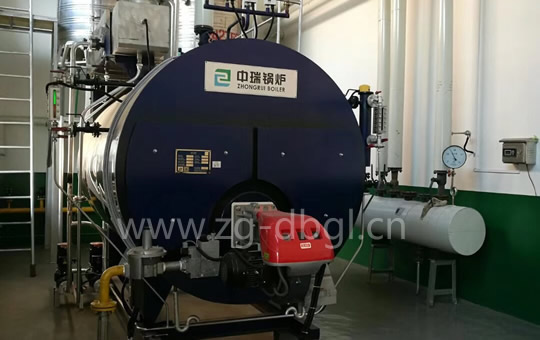 大連客戶燃?xì)庹羝仩t案例