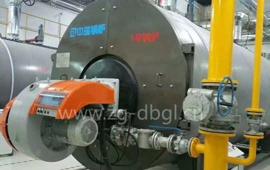 沈陽客戶燃?xì)鉄崴仩t案例